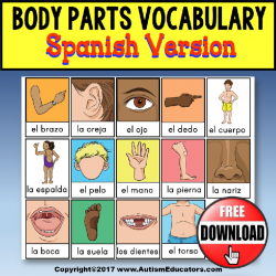Body Parts Vocabulary Flashcards SPANISH